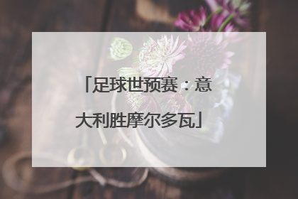 足球世预赛：意大利胜摩尔多瓦