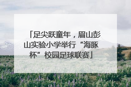 足尖跃童年，眉山彭山实验小学举行“海豚杯”校园足球联赛