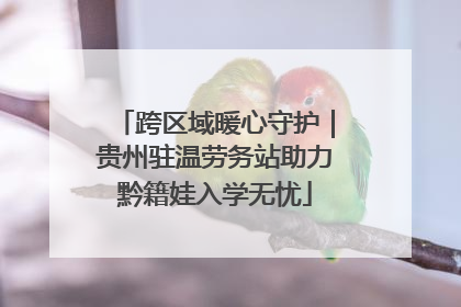 跨区域暖心守护｜贵州驻温劳务站助力黔籍娃入学无忧