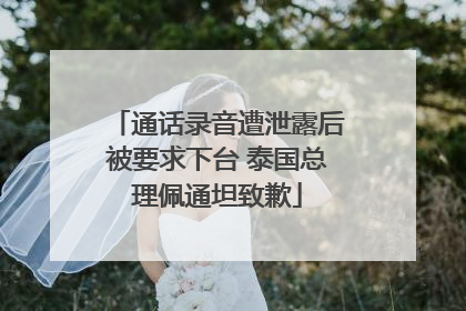 通话录音遭泄露后被要求下台 泰国总理佩通坦致歉