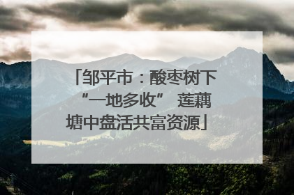 邹平市：酸枣树下“一地多收” 莲藕塘中盘活共富资源
