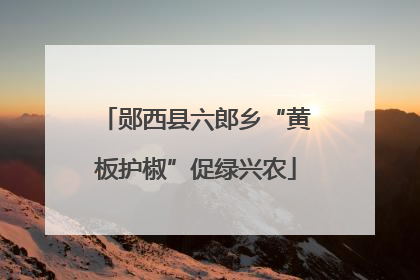 郧西县六郎乡“黄板护椒”促绿兴农