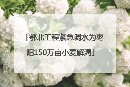 鄂北工程紧急调水为枣阳150万亩小麦解渴