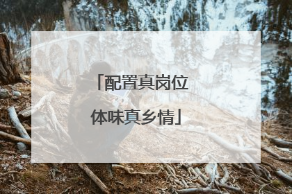 配置真岗位 体味真乡情