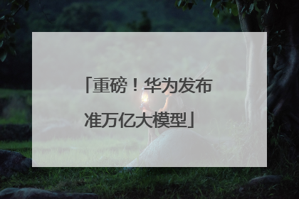 重磅！华为发布准万亿大模型