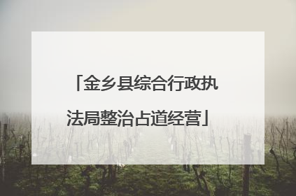金乡县综合行政执法局整治占道经营