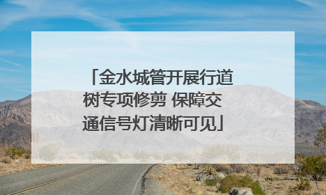 金水城管开展行道树专项修剪 保障交通信号灯清晰可见