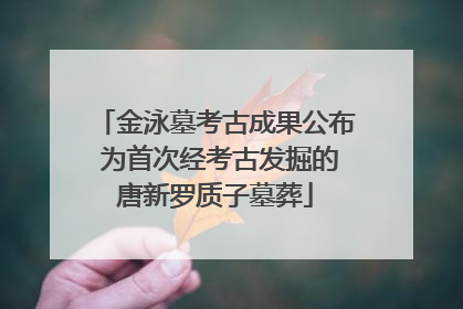 金泳墓考古成果公布 为首次经考古发掘的唐新罗质子墓葬