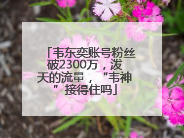 韦东奕账号粉丝破2300万，泼天的流量，“韦神”接得住吗