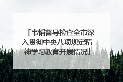 韦韬督导检查全市深入贯彻中央八项规定精神学习教育开展情况
