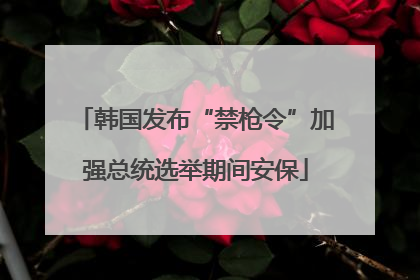 韩国发布“禁枪令”加强总统选举期间安保
