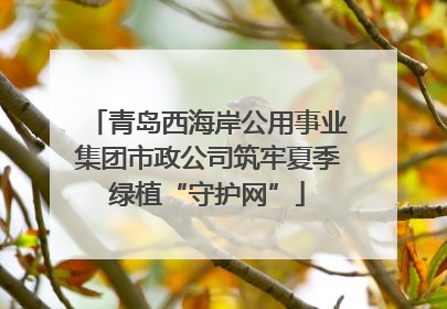 青岛西海岸公用事业集团市政公司筑牢夏季绿植“守护网”