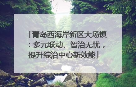 青岛西海岸新区大场镇：多元联动、智治无忧，提升综治中心新效能