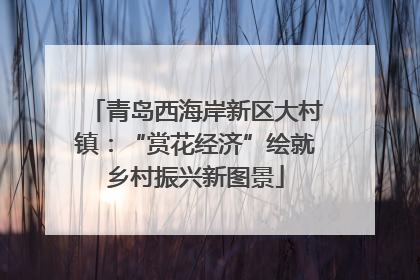 青岛西海岸新区大村镇：“赏花经济”绘就乡村振兴新图景