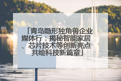 青岛隐形独角兽企业媒体行：揭秘智能家居、芯片技术等创新亮点 共绘科技新篇章