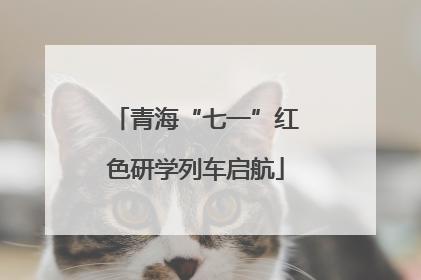 青海“七一”红色研学列车启航