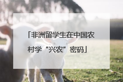 非洲留学生在中国农村学“兴农”密码