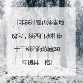 非遗好物再添秦地瑰宝，陕西白水杜康十三朝酒海陈藏30年别具一格