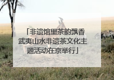 非遗馆里茶韵飘香 武夷山水非遗茶文化主题活动在京举行