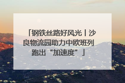 钢铁丝路好风光丨沙良物流园助力中欧班列跑出“加速度”