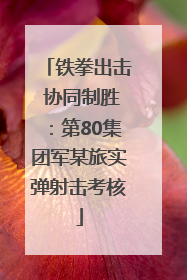 铁拳出击 协同制胜：第80集团军某旅实弹射击考核