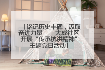 铭记历史丰碑，汲取奋进力量——大成社区开展“传承抗洪精神”主题党日活动