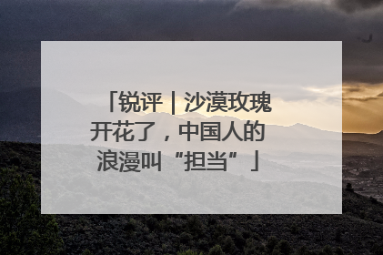 锐评｜沙漠玫瑰开花了，中国人的浪漫叫“担当”
