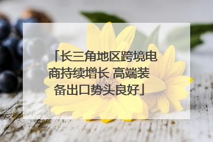 长三角地区跨境电商持续增长 高端装备出口势头良好
