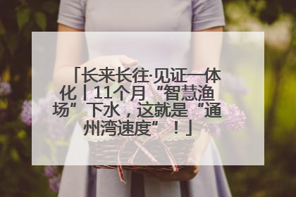 长来长往·见证一体化丨11个月“智慧渔场”下水，这就是“通州湾速度”！