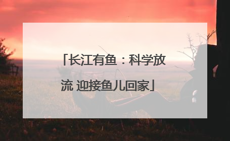 长江有鱼：科学放流 迎接鱼儿回家