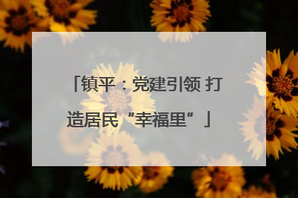 镇平：党建引领 打造居民“幸福里”