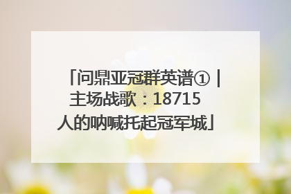 问鼎亚冠群英谱①｜主场战歌：18715人的呐喊托起冠军城