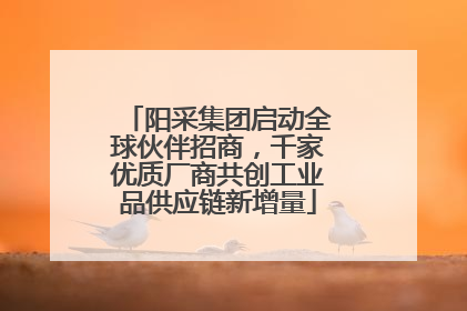 阳采集团启动全球伙伴招商，千家优质厂商共创工业品供应链新增量