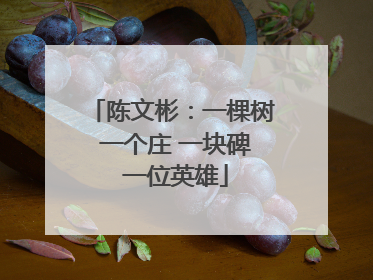 陈文彬：一棵树 一个庄 一块碑 一位英雄