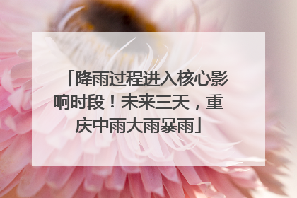 降雨过程进入核心影响时段！未来三天，重庆中雨大雨暴雨