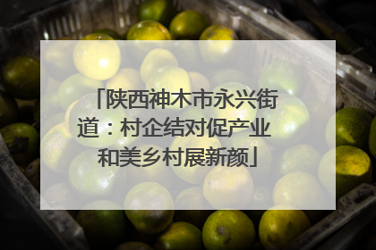 陕西神木市永兴街道：村企结对促产业 和美乡村展新颜