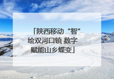 陕西移动“智”绘双河口镇 数字赋能山乡蝶变