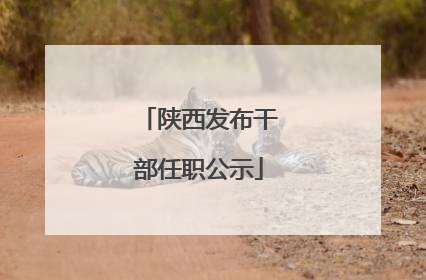 陕西发布干部任职公示