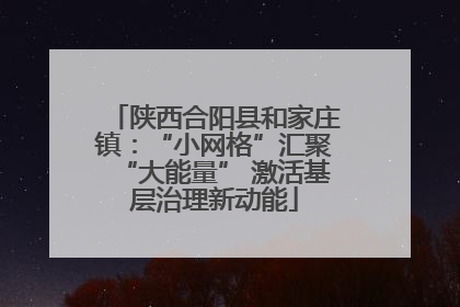 陕西合阳县和家庄镇：“小网格”汇聚“大能量” 激活基层治理新动能
