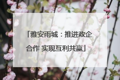 雅安雨城：推进政企合作 实现互利共赢