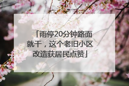 雨停20分钟路面就干，这个老旧小区改造获居民点赞