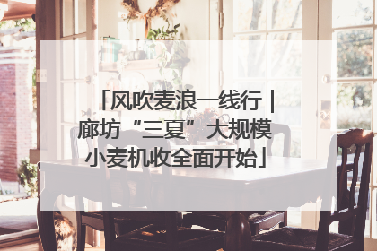 风吹麦浪一线行｜廊坊“三夏”大规模小麦机收全面开始