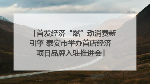 首发经济“燃”动消费新引擎 泰安市举办首店经济项目品牌入驻推进会