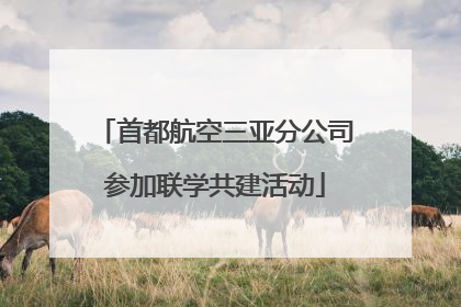 首都航空三亚分公司参加联学共建活动