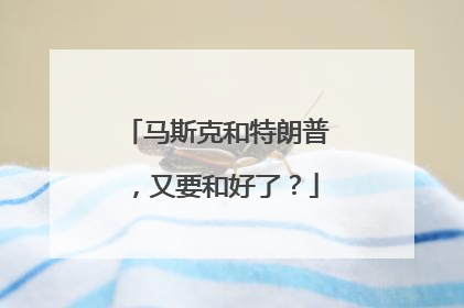 马斯克和特朗普，又要和好了？