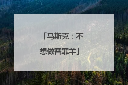 马斯克：不想做替罪羊