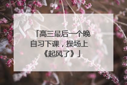 高三最后一个晚自习下课，操场上《起风了》