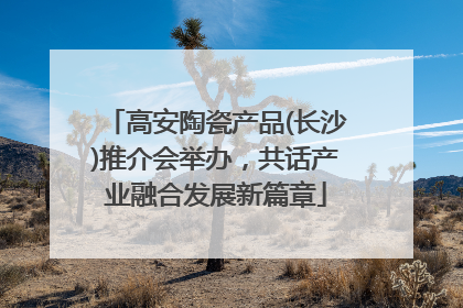 高安陶瓷产品(长沙)推介会举办，共话产业融合发展新篇章