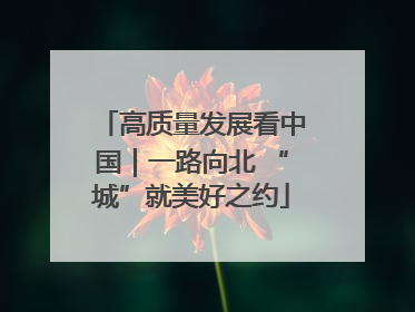 高质量发展看中国｜一路向北 “城”就美好之约