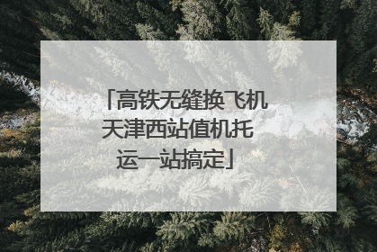 高铁无缝换飞机 天津西站值机托运一站搞定